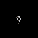 snowflake 3d